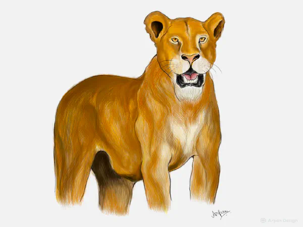 Lioness